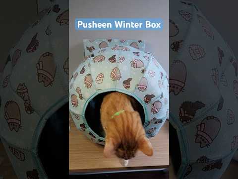 Pusheen Winter Box 2024 #cat