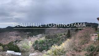 Binchi’s Ryokan Onsen Experience - Yoshinoyama