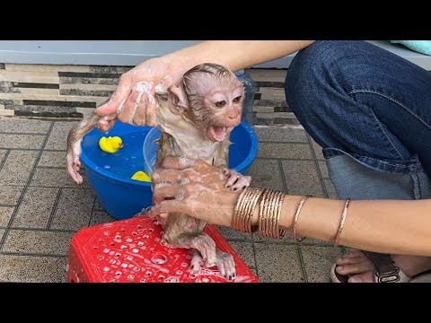 Adorable Baby Boy Sit For Mom Take A Bath Look is Very Cute