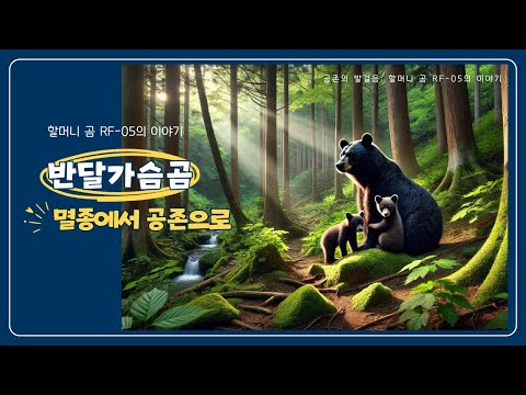 공존의 발걸음: 할머니 곰 RF-05의 이야기