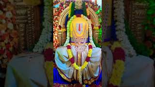 simhachalam l varaha Lakshmi Narasimha swamy l simhadri appanna nijarupa darshanam #shorts#ytshorts