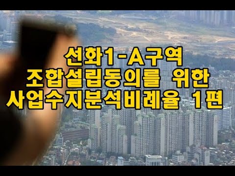 선화1- A 조합동의를 위한 사업수지 분석 1편