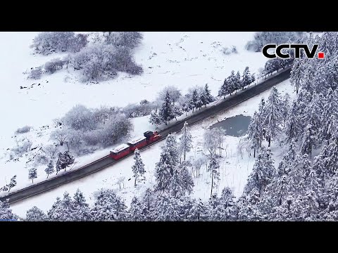 飞“阅”重庆仙女山，林海雪原宛如冰雪童话世界 | CCTV