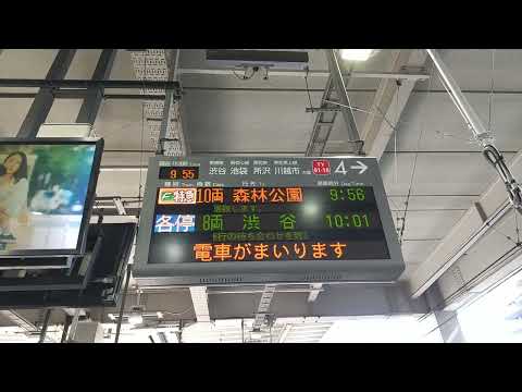 東急東横線 武蔵小杉駅4番線Fライナー特急森林公園行き接近放送