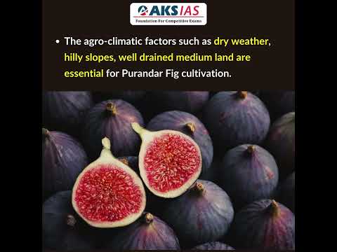 Purandar Figs #upsc #aksias #iascoaching #PurandarFigs