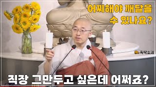 [돈오109] 직장 그만두고 싶은데 어쩌죠? 어찌해야 깨달을 수 있습니까?