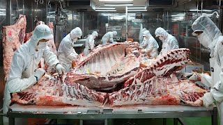 Amazing Master! 50-year-old meat processing plant with annual sales of 30 billion. dismantling beef