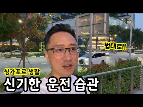 알려지지 않은 싱가포르의 이상한 운전 습관 | 이민생활