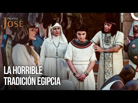 Los Esclavos Llevan A Zuleica Y José | Diarios Del Palacio #5