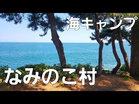 【神奈川県】絶景の海キャンプ 13番サイト【なみのこ村】【ソロキャンプ】【夏キャンプ】