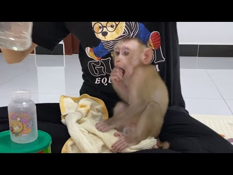 Cute Baby Boy Watching Mom Mix Milk To Drink