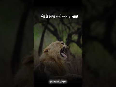 ખોટા દેખાડા અને  સિંશોર્ટ કરવાની આદત નથી ગુજરાતી attitude