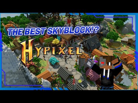 THE BEST SKYBLOCK I'VE PLAYED!? (Minecraft)