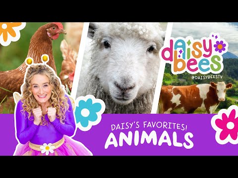 Learn About Farm Animals with Daisy Bees! Preschool Learning - Kids Science Songs and Videos