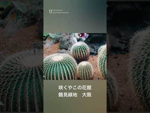 咲くやこの花館　鶴見緑地　大阪　Botanical garden Osaka Japan 2023