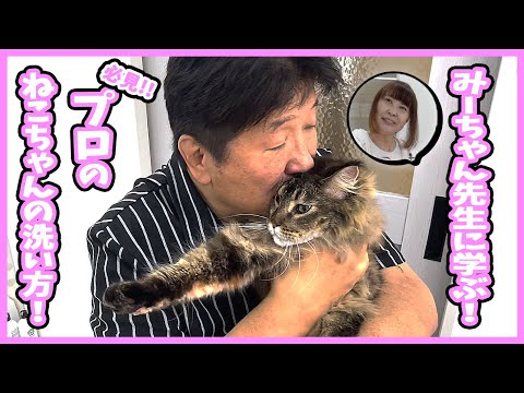 【愛猫家必見！】前田日明の愛猫・朱美が登場！みーちゃん先生による猫のシャワー講座！