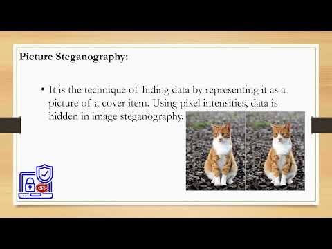 6 Types Of Steganography