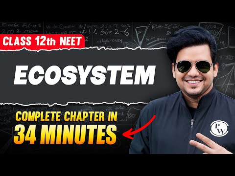 ECOSYSTEM in 34 Minutes | FULL CHAPTER For NEET | PhysicsWallah