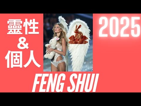 2025 動物徵兆預測：兔子 [風水天使]