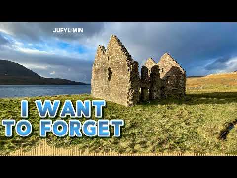 Jufyl Min - I Want To Forget