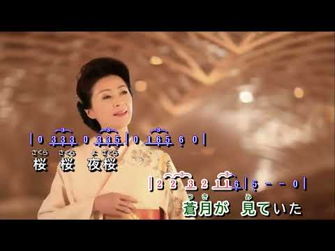 夜桜ブルース  ~  長山洋子     MV歌詞譜版