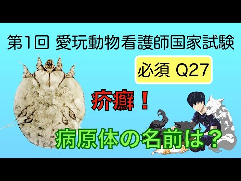 Q27 「疥癬の病原体」