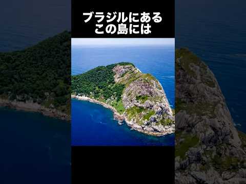 大量の毒蛇が生息している島「スネークアイランド」　　　　　　　　　　#雑学 #怖い話 #島 #へび