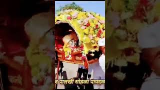 🚩🙏सोनाळा ते पंढरपूर🙏🚩 #shortvideo