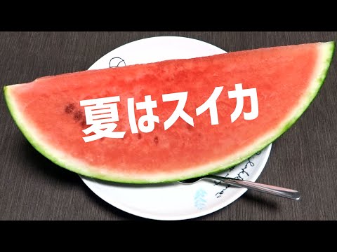 朝からスイカを食べたよ～☺しあわせ【ぽや家 #Shorts｜008】#夏の風物詩