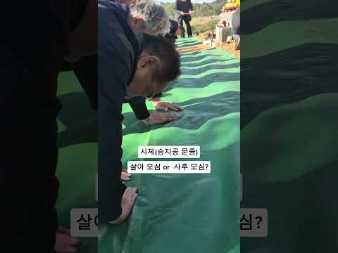 조상 모심(시제)은 언제까지 지속 될까? #시제 #인생은예술 #숭조사상