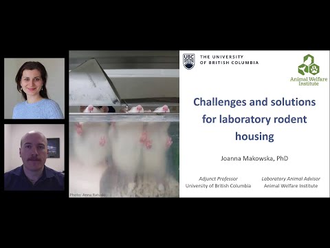 Challenges and Solutions for Laboratory Rodent Housing presented | Dr. Joanna Makowska