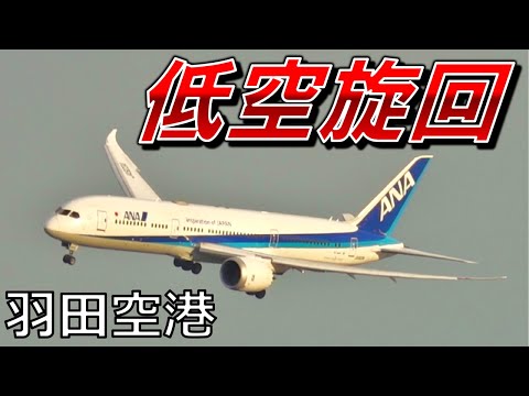 羽田空港で一番珍しい着陸を見に行ったら奇跡が起きました