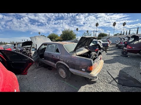 1986 Mercedes-Benz W126 560SEL at Junkyard