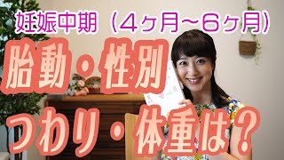 【妊娠中期】私の場合の４ヶ月〜６ヶ月くらいに起こった体の変化をお伝えします💁‍♀️胎動や心音、性別がわかったり、体重の変化も。