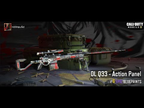 I Got The Rare DL Q33: Action Panel from Clan Battle | Call Of Duty: Mobile | BEAST GAMERS