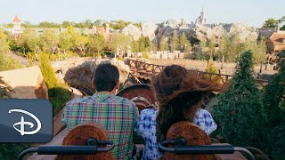 Heigh-Ho...Take a ride on Seven Dwarfs Mine Train!