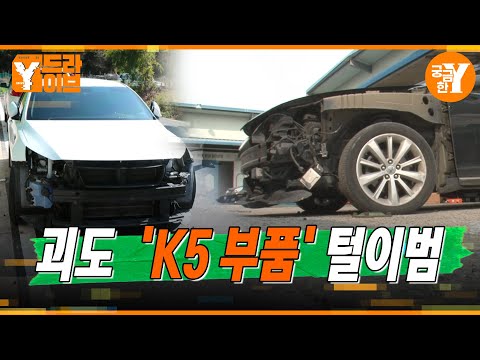 오로지 'K5'만 노린다! 괴도 Kㅣ5(도)  | Y드라이브