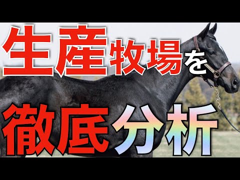 生産牧場の勝ち上がり率とAEIを出してみた！指標が示すノーザンFの圧倒的な強さ。