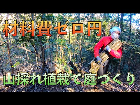 丸太を運んで満身創痍　山から草木を持ち帰って庭いじりしかしたくない【山開拓】#53