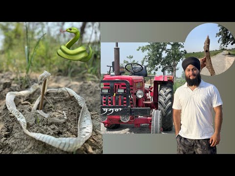 Last day in pind 🌾| got emotional 🥹 #ep6  #browntpur #vlog