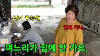 며느리가 일 그만두고 시댁와서 눌러 산다면?