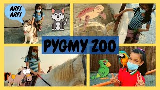 UAE PYGMY ZOO AJMAN | AL ZORAH MARINA | HIDDEN GEM IN UAE