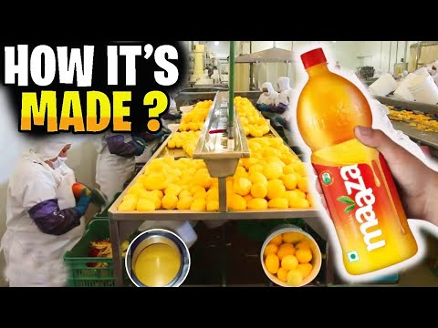 How Millions of Mangoes Are Harvested & How Mango Juice Is Made In Factories