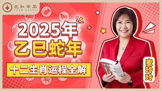 麦玲玲师傅详解2025蛇年运程：十二生肖完整版！事业运、财运、人际关系、爱情、婚姻、健康全解析！