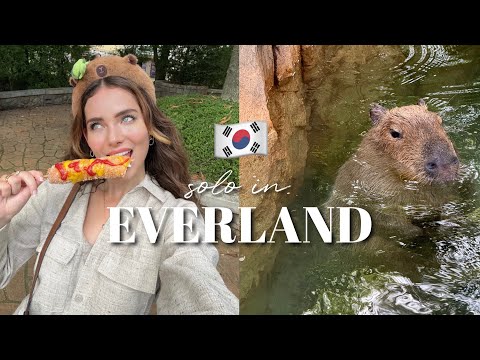 SOLO in SOUTH KOREA VLOG 🇰🇷 let's go to everland together!