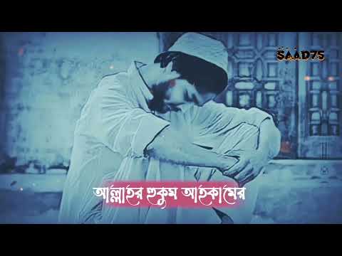 আল্লাহর কাছে কি দাম আছে আমাদের - 🥺💔 || Abu Toha Muhammad Adnan 🌼🥀 Islamic Short status video 🍂❤️