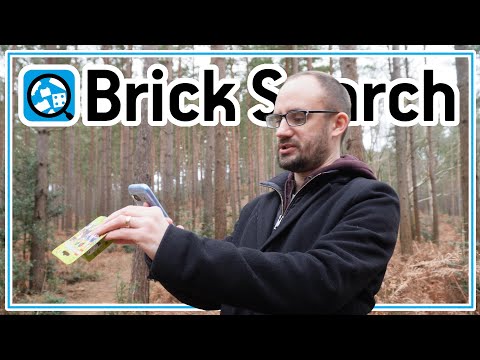 Using Brick Search in the real Forbidden Forest