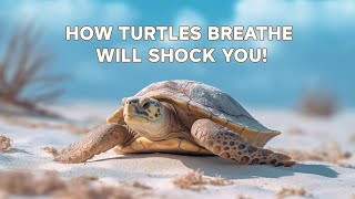 The SHOCKING Truth About How Turtles Breathe | echo dude