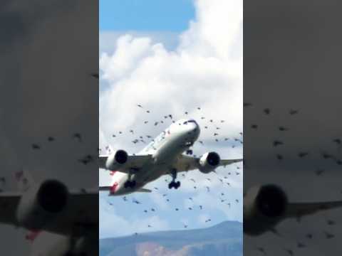 Close-up Takeoffs at Barcelona AirPort #planespotting #aviation #youtubeshorts #shorts #short #bcn