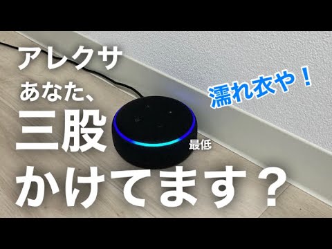 【無実です】アレクサに三股疑惑をかけられました・・・